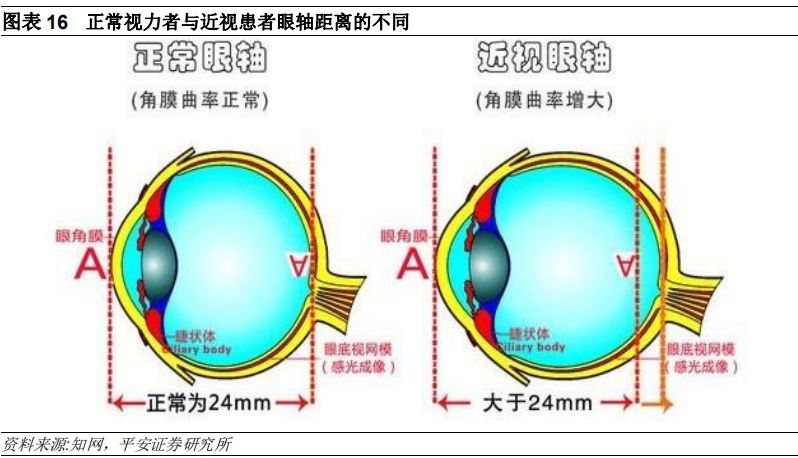 1556526943575455.jpg 15.jpg